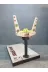 assa spor AKT-007 Angry Birds Sapan & Angry Birds Target Hedef Oyunu 1