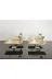 atabey home collection TYC2931DE6E1AC53F1 6 Adet Baton Gold Sunum Tepsisi Gold Gül Çerçeveli & Kahve & Çay Tepsisi 32Cm 4