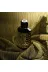 BTMN29AR202506A Mancera Wild Python Edp 120Ml 4