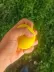 El Bilek Güçlendirme Topu Medium 1