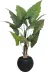 ERHAN FLOWERS ÇİÇEK & DEKORASYON ypy.agç.00083 Yapay Fil Kulagı 180 Cm Siyah Gold Saksı 1