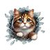 ETT 562741420580 Fulcar Stray Araç Stickerı 1