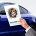 ETT 562741420580 Fulcar Stray Araç Stickerı 3