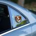 ETT 562741420581 Fulcar Australian Shepherd Araç Stickerı 3