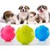 ETT 562741432657 Köpek Isırma Topu Pati Desenli 2