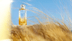 hermesun Hermes Un Jardın A Cythere Edt 100 Ml 3