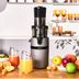 Karaca QxzAEyPbIl Slow Juicer Yavaş Sıkım Katı Meyve Sıkacağı 1
