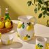 Karaca tgjtyktutuı Lemon Sürahi 1400 Ml 1