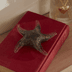 Karaca UIJYKTKJUK Star Biblo 12 Cm 1