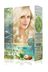 MAXX DELUXE RT-RYL-ARMAXX01 Natural Beauty Amonyaksız Saç Boyası 0.1 Platin Sarısı 1