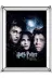 PASİFİK HOME SATABLİYRRR-643333 Poster & Film Afişi Harry Potter 35X50 Azkaban Tutsağı Warner Bros. Lisanslı 1