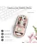 Pembe 501 Bt+ Wireless Mouse ZR1133 1