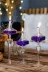Shabbo Glass 200300SHBBO Ufo Şamdan Cam Kandil3 Lü Set Mor 1