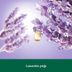 ST11090176 Palmolive Aroma Sensations So Relaxed 500 Ml Duş Jeli 4
