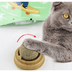 YNT İthalat AK-A739 Kedi Nanesi Oyun Topu 4