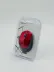 ZR880 Kırmızı Wireless Mouse 1